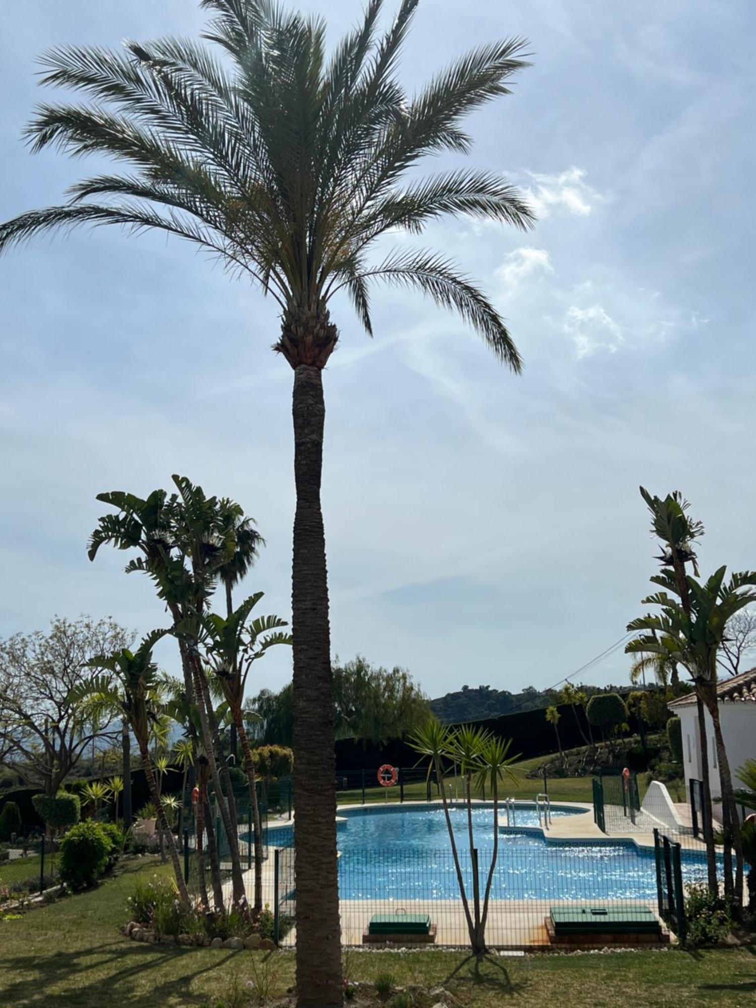 Finca San Antonio Two Bedroom Apartment With Swimming Pool Mijas Eksteriør bilde